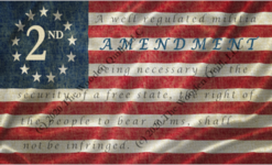 2nd Amendment Betsy Ross Flag - Bolt-V4 Watermark.png