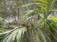 27403103-9928-4722-A092-E0E9166268E4.jpeg