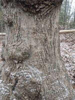IMG_20220116_140919530.JPG