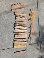 hickory02.jpg
