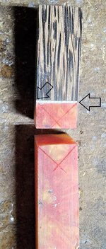 roundedscallops11.jpg