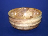 Spalted Maple 9b.jpg