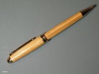Euro Pen 100808 004.jpg