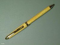 Mini Euro Pen 100808 005.jpg