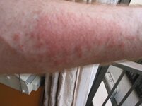 IMG_8997.jpg