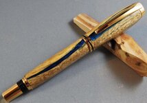Rich's pen2.jpg