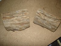 DSC04330.jpg