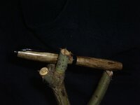 spaltedpecan 001.jpg