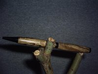 spaltedpecan 003.jpg