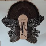 Turkey Wall Mount.jpg