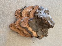 thumbnail_IMG_0313.jpg