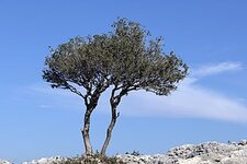 SAVE_20220730_231601.jpg