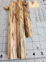 20221010_123118.jpg