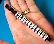 Shark vertebrae on Zen Pen.JPG