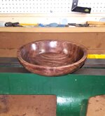 Walnut 3d.jpg