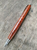 CAMEL THORN 1.jpg