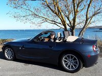 BMW Z4.jpg