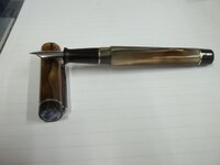 100_2925.JPG
