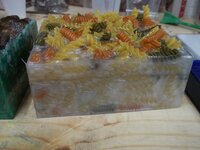 100_2931.JPG