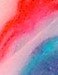 pith tease 2010.JPG