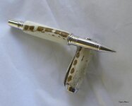 DSCN0299.jpg