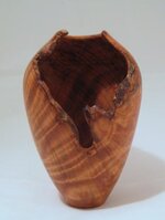 white-cedar-burl-3.jpg