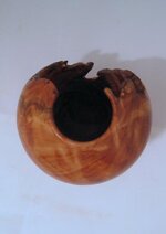 white-cedar-burl-5.jpg