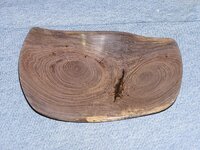 MangrovePlater01.jpg