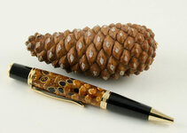 Pinecone-8215.jpg