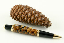 Pinecone-8216.jpg