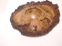 DSC08389.JPG
