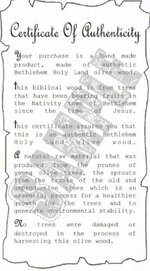BOW certificate sample.jpg