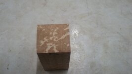 20230217_122544.jpg