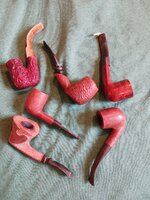 20230223_091420.jpg