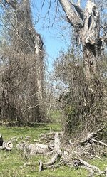 D5F54BEF-462B-4779-99FF-08DE41D15AA1.jpeg