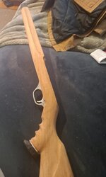20230329_131728.jpg