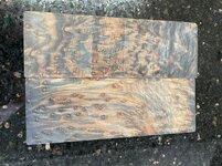 Redwood Burl 12b.jpg