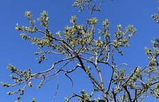 IMG_3346.jpeg
