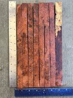 IMG_3305.JPEG