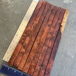 IMG_3310.JPEG