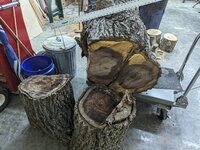 PXL_20230701_004312950.jpg