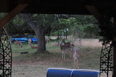 DSC_0065.JPG