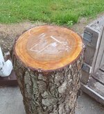 Cherry Logb.jpg