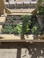 IMG_3766.jpeg