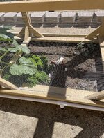 IMG_3767.jpeg