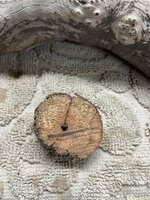 IMG_6615.jpeg