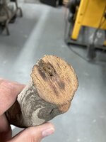 IMG_6967.jpeg