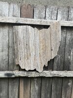 IMG_7678.jpeg