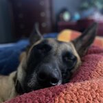 IMG_5074.jpeg