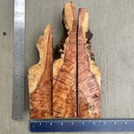 IMG_4170.JPEG